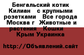 Бенгальский котик Килиан , с крупными розетками - Все города, Москва г. Животные и растения » Кошки   . Крым,Украинка